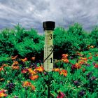Grand View Rain Gauge